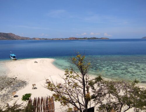 Indoneesia saarte Komodo ja Bali ringreis 2026 aasta oktoobris!