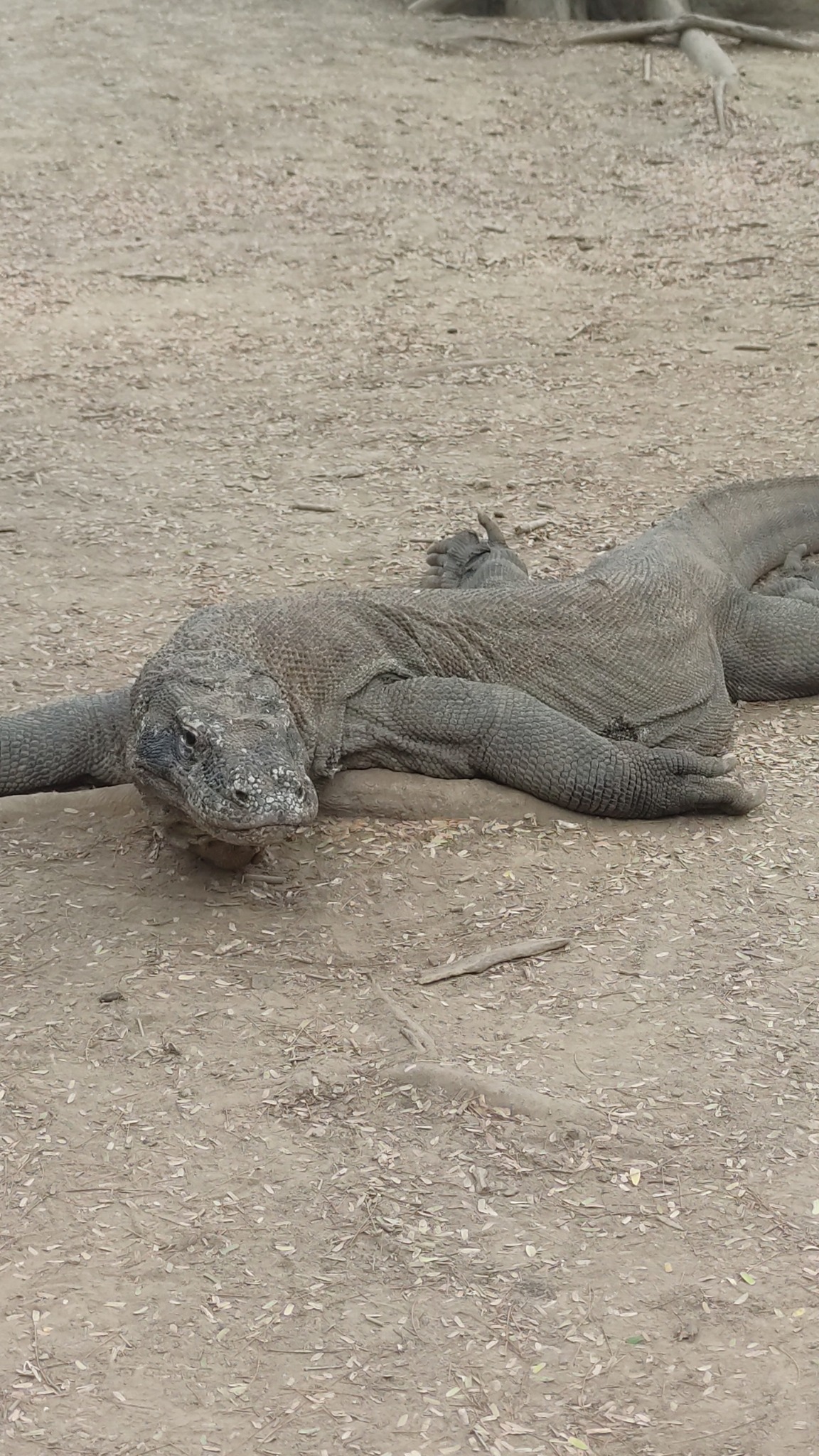 571045763_25107329282233838_6396338552063014663_n