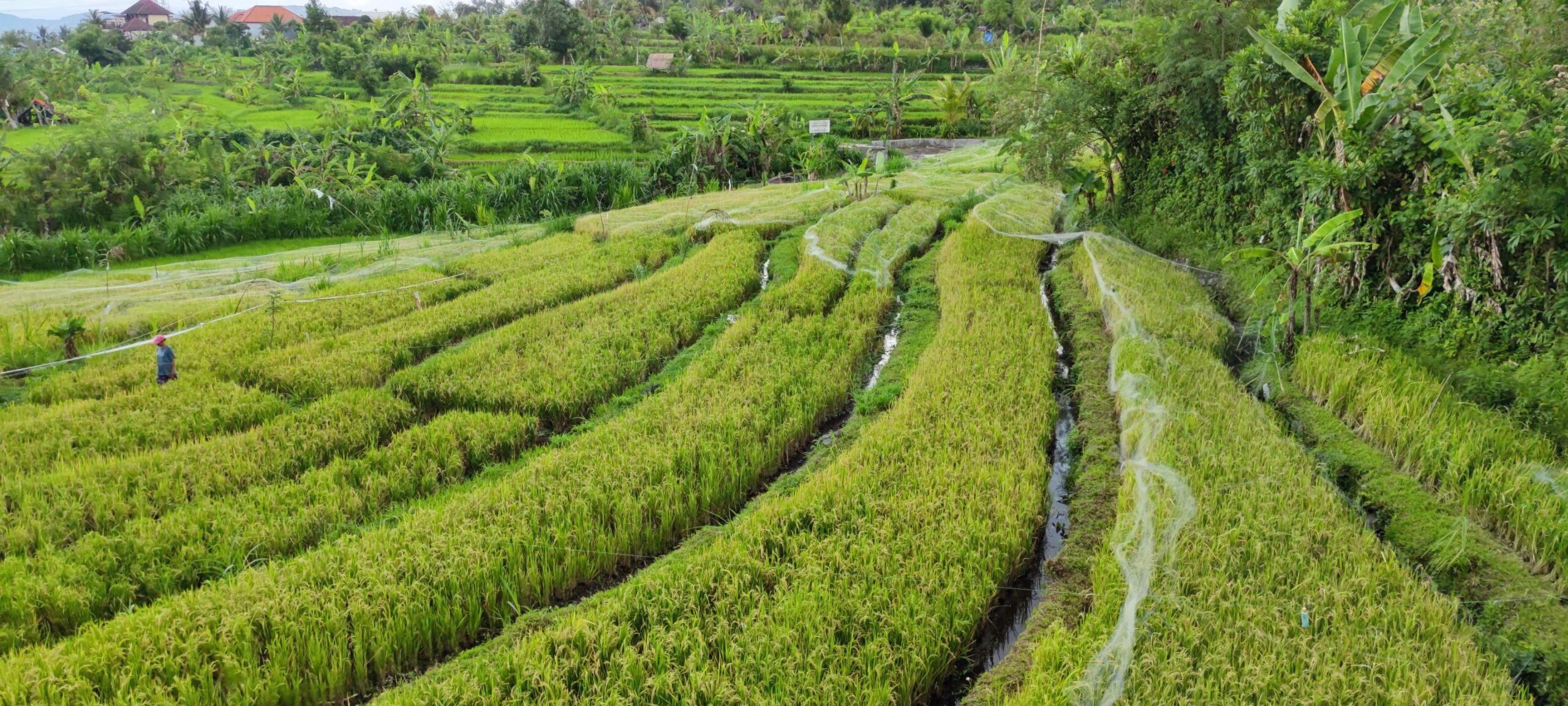 573538314_25185272997772799_6629538176761089113_n